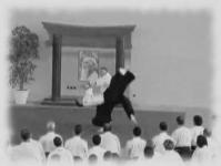 Ryote dori- Koshi nage